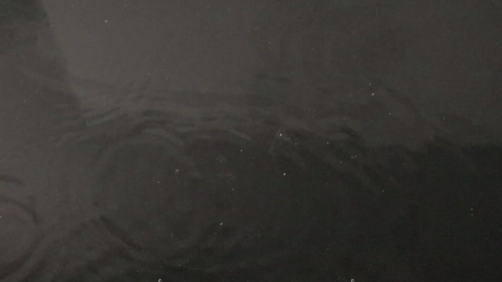 YoYoLemon Realistic Dildo 8 Inch, Thrusting and Heating and Vibrating, Suction Cup For Hand Free